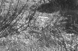 slice_2