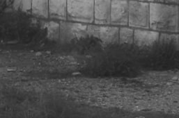 slice_2