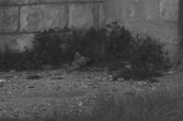 slice_2